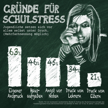 Grafik Studienkreisumfrage, Stressgründe